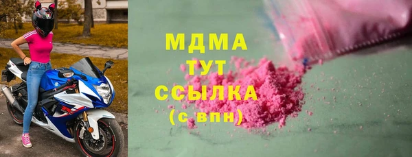 шишки Корсаков