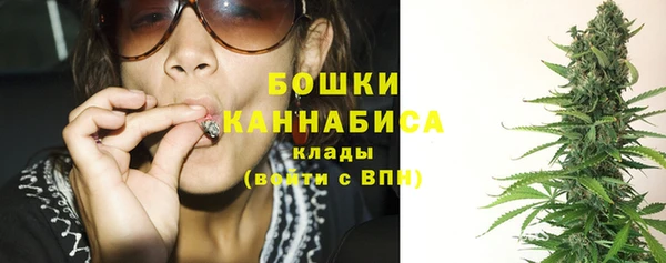 шишки Корсаков