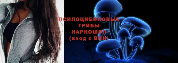 прущая мука Костерёво