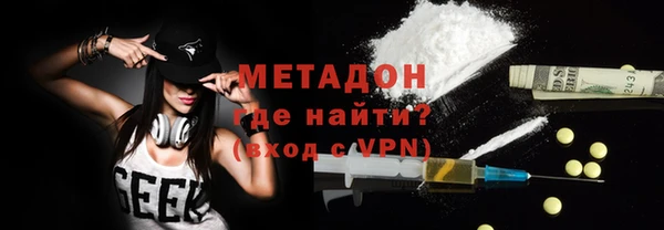 шишки Корсаков