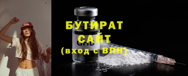 шишки Корсаков