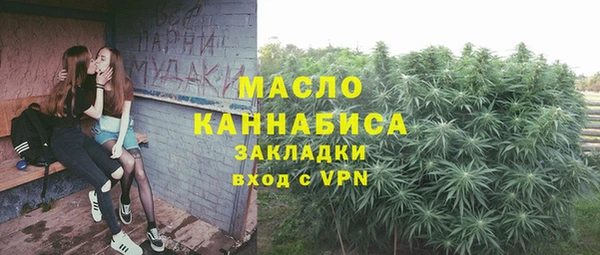 шишки Корсаков
