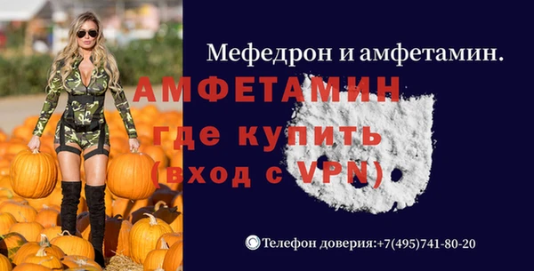 шишки Корсаков