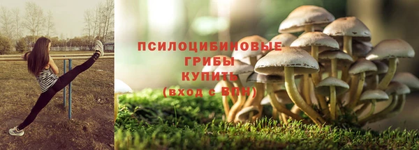 соль ск Коряжма