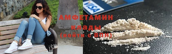шишки Корсаков