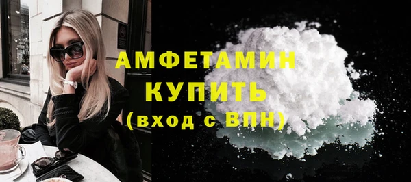 шишки Корсаков